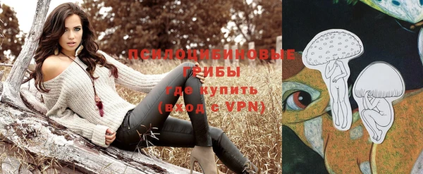 стаф Абдулино